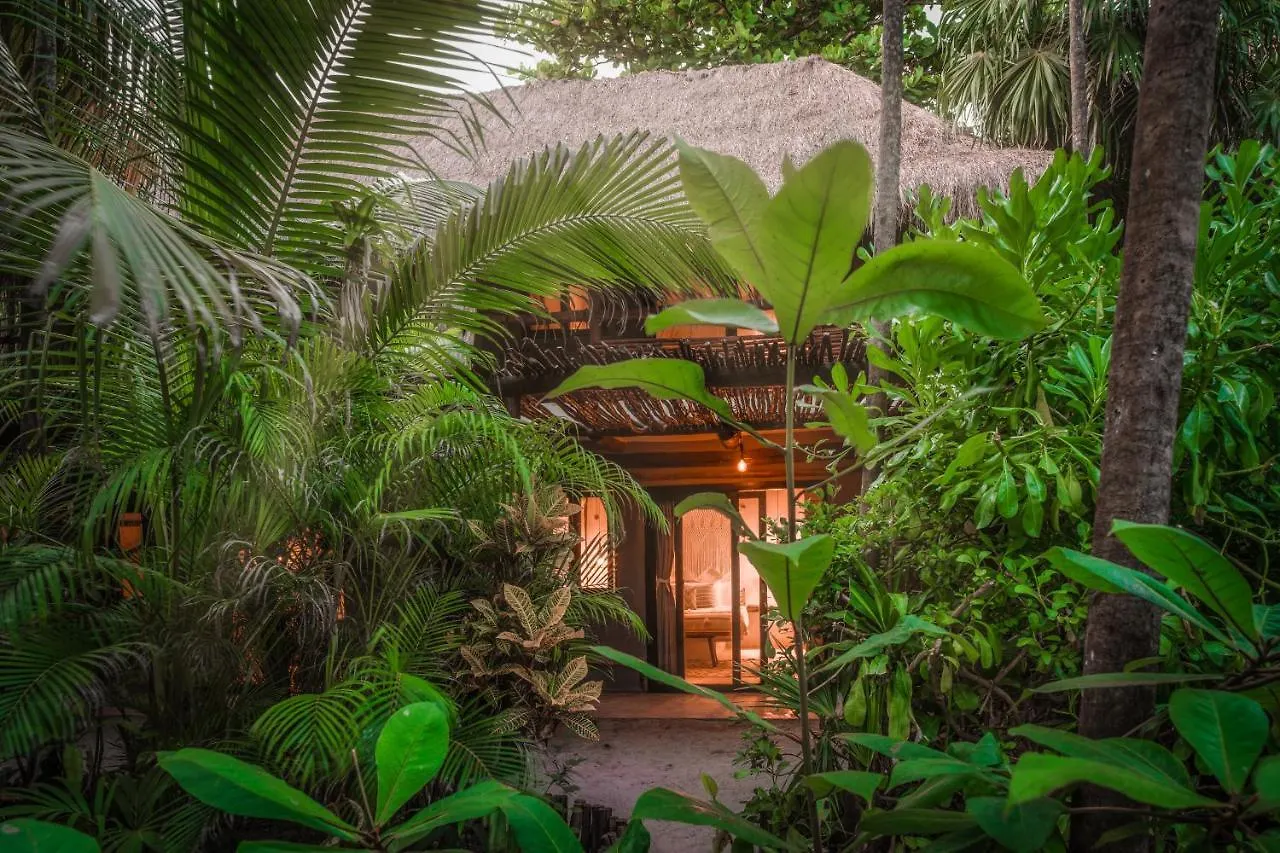 Mistiq Hotel Tulum